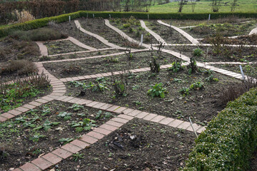 Vegetable and herb garden with harvested beds, cut perennial plants and brick footpaths in between...