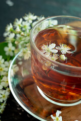 A transparent cup of teapot tea with a saucer and a white bird cherry flower on a black background. Copy space. Spring breakfast