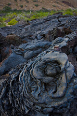 Diseños de lava. Ecuador. Parque Nacional de las Islas Galapagos.