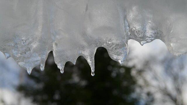 video of dripping icicles on a warm bright sunny day. Melting icicle on a blue background, seamless loop. Endless loop, loopable