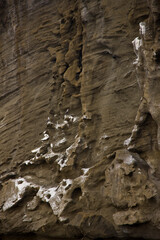 PIQUERO DE PATAS AZULES. Parque Nacional Islas Galapagos, Ecuador, America