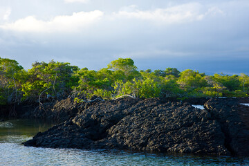 Parque Nacional Islas Galapagos, Ecuador, America