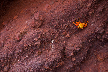 Zayapa, Islas Galapagos, Ecuador
