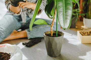 woman transplanting flowers in bigger pots at home