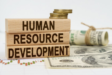 On the table are dollars, financial charts and wooden plates on which it is written - HUMAN...
