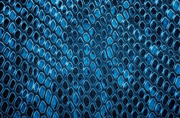 Blue snake skin background. Reptile leather.