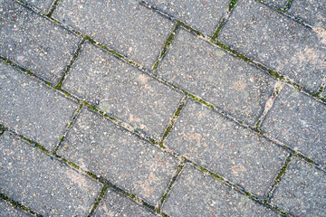 a rectangular gray pavement on the ground is sprinkled with yellow sand