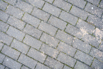 a rectangular gray pavement on the ground is sprinkled with yellow sand