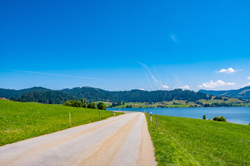 Road in the countryside