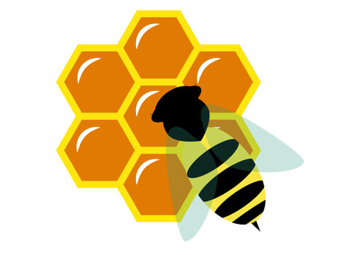Logotipo de una abeja sobre el panal de miel