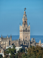 Sevilla catedral y giralda