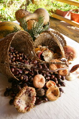 Setas y Castañas recién cogidas del campo