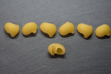 Pasta shells