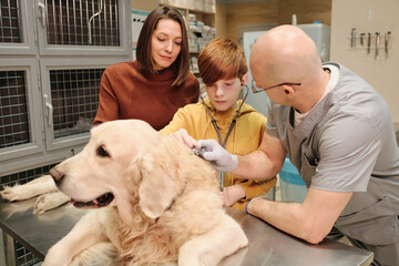 Little boy examining his pet