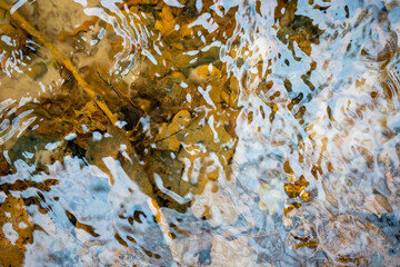 the clear water of the stream shimmers and under it shines a bright orange texture