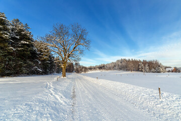 Fototapeta na wymiar Road at white winter landscape in the forest.