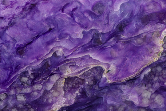 macro mineral stone Charoite on a white background