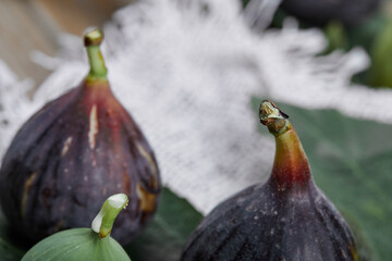 Ripe figs with leaves on a blurry background