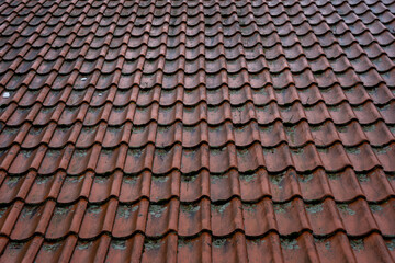 old moss-covered tile roof in spring