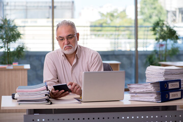 Old male bookkeeper in budget planning concept