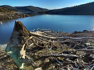 lake tahoe state
