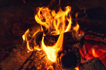 Fototapeta premium fire in the fireplace
