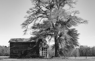 Old southern farm houses and equipment