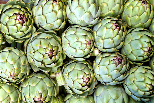 Ripe Green Artichoke Vegetable Close-up