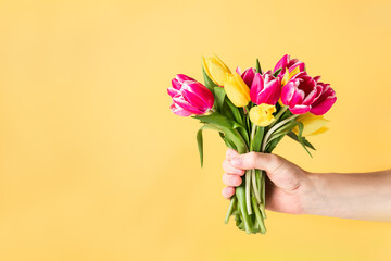 Male hand holding beautiful fresh pink and yellow tulips bouquet on light yellow background....