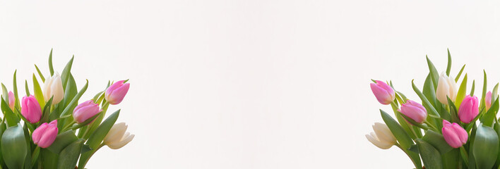 Tulips on a white background for a Womens Day, Mother Day, 8 march or Valentines day. The concept of holidays and good morning wishes.