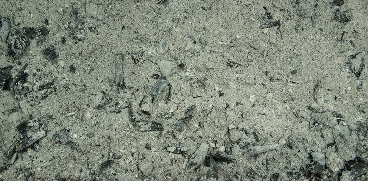 Textura de cinzas de um inc&ecirc;ndio