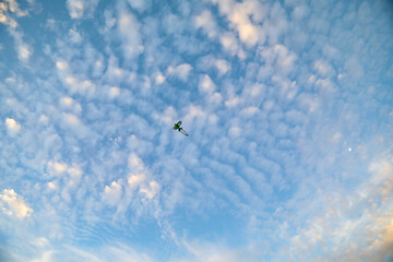 Remote controlled toy bird flying in the sky