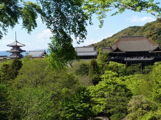 Temple Kiyomizu-dera dans la for&ecirc;t &agrave; Kyoto