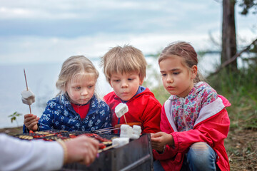 Group of kids baking marshmallow candies on campfire, local travelling after lockdown