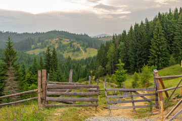 Fototapeta na wymiar Mountain hills pure nature rural landscape. Fence from wooden logs