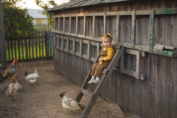 A child in overalls sits high on the stairs and feeds the chickens corn.  Funny girl on the farm takes care of the animals. Rooster with hens in the village.