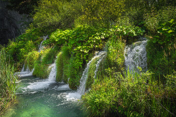 Fototapeta na wymiar Cascades of water surrounded by tall grass falling into turquoise coloured lake. Plitvice Lakes National Park UNESCO World Heritage in Croatia