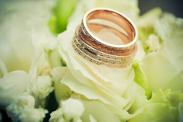 Obraz na płótnie Canvas Wedding rings on a white rose flower.