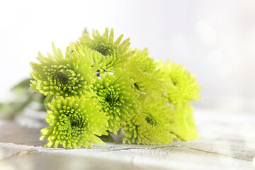 Fototapeta premium Fresh green flowers, wedding, and holiday arrangements. Valentine`s Day and holiday background.