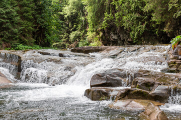 A tiny river in the mountain forest with low water waterfall. Brite summer day in mountain forest
