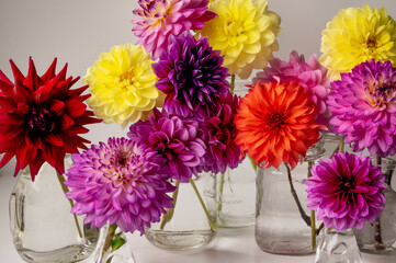 bouquet of flowers in variety of glass vases 