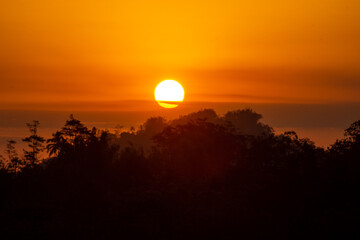 Beautiful sunset tropical beach with palm tree and pink sky for travel and vacation in holiday relax time