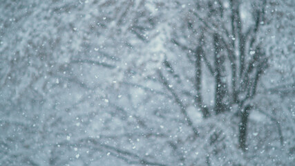 CLOSE UP, DOF: Blurry snowflakes cover the wintry avenue on cold winter morning.