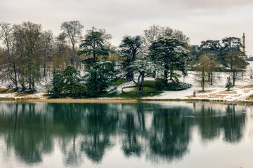 Fototapeta premium reflection of trees in the water