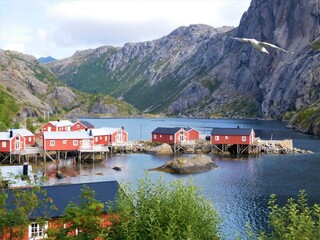 Village dans un fjord avec maisons rouges norv&eacute;giennes traditionnelles