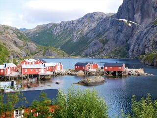 Village dans un fjord avec maisons rouges norvégiennes traditionnelles