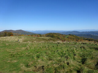 High Meadow
