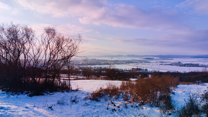 uherske Hradiste town, winter landscape with forest, trees covered snow