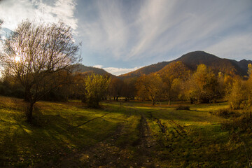 Fototapeta premium Amazing view with colorful autumn forest with asphalt mountain road at sunset.