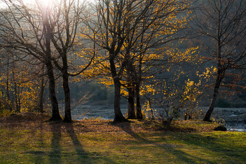 Amazing view with colorful autumn forest with asphalt mountain road at sunset.